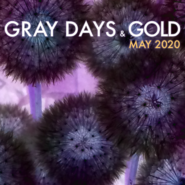 Gray Days and Gold May 2020