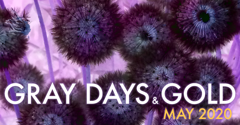 Gray Days and Gold May 2020