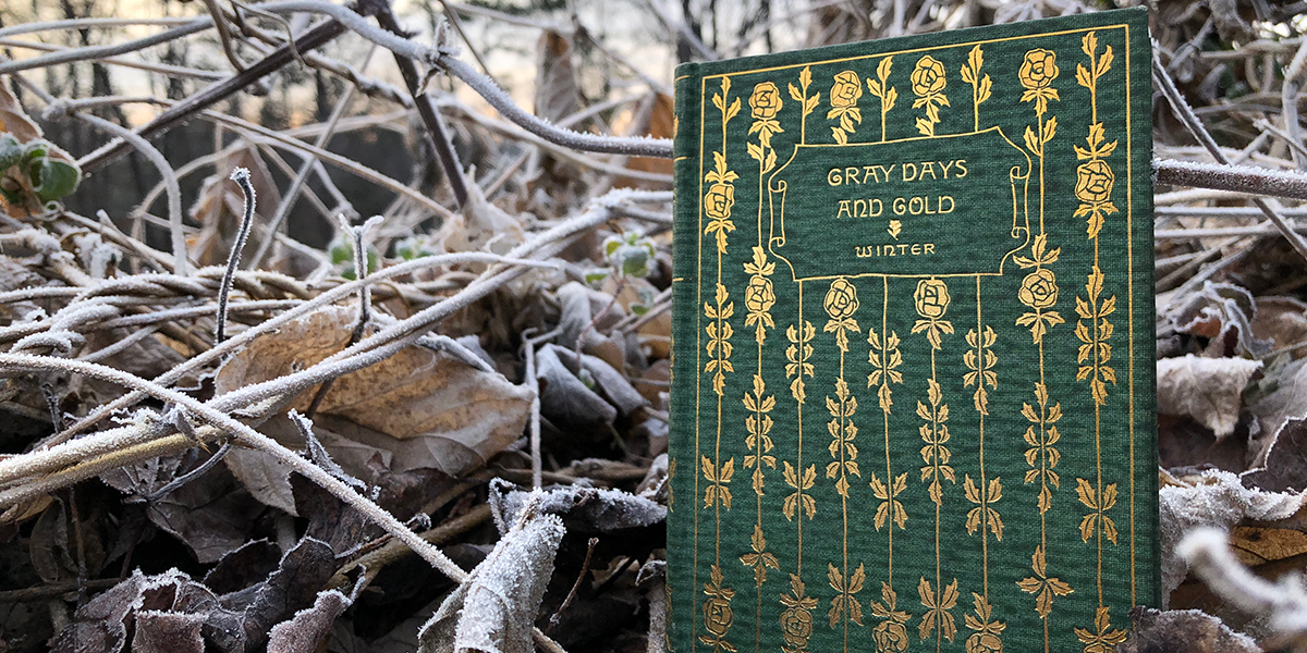 Gray Days and Gold December 2020