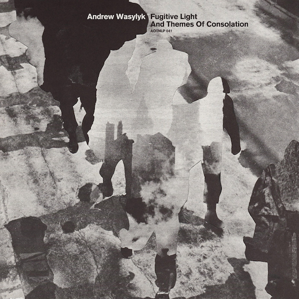 Andrew Wasylyk: Fugitive Light and Themes of Consolation