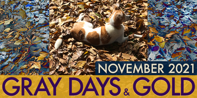 Gray Days and Gold November 2021