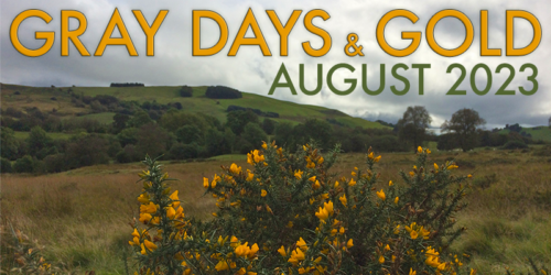 Gray Days and Gold August 2023