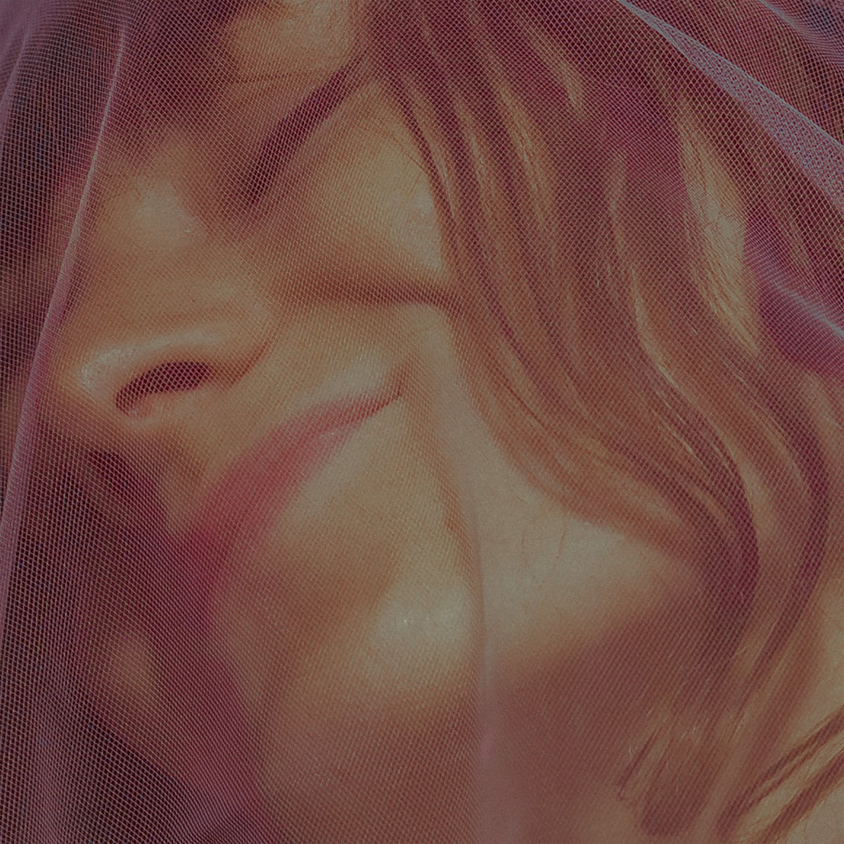 Celebrate by HALO MAUD