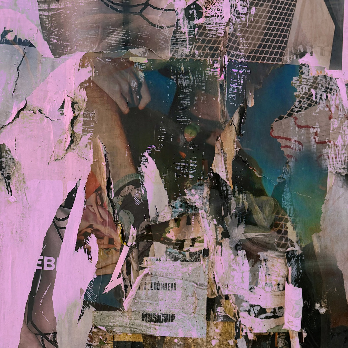 Anything by Cereus Bright